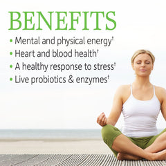 Garden of Life Vitamin B Complex bottle back showing folate and methylcobalamin.