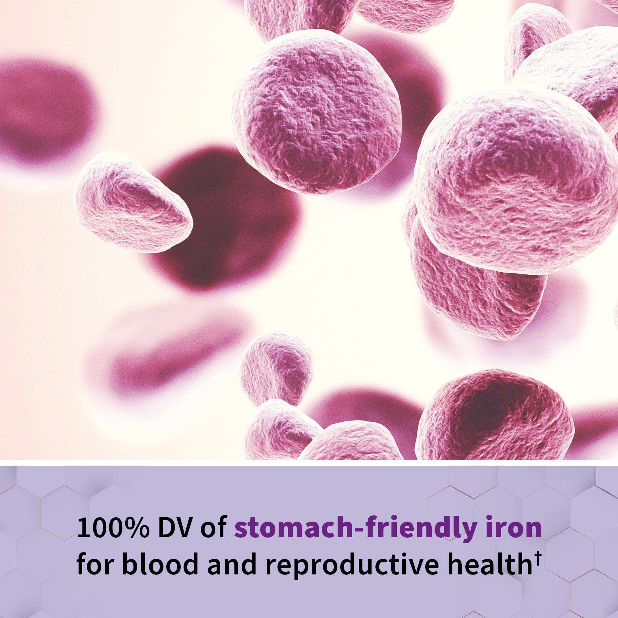 Close-up of RAW Prenatal ingredient list with live probiotics included.