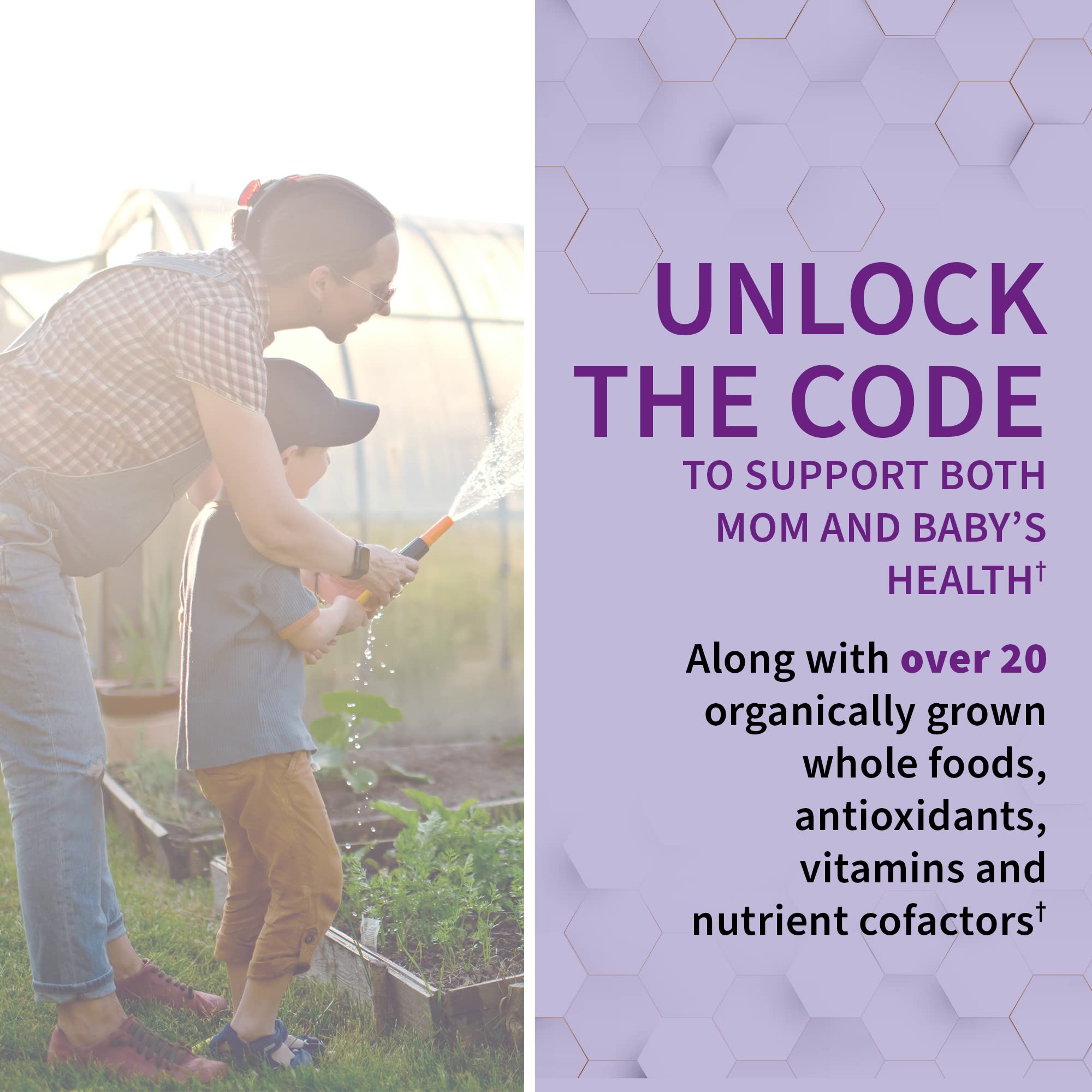 Garden of Life Vitamin Code RAW Prenatal seal confirms Non-GMO and gluten-free verification.