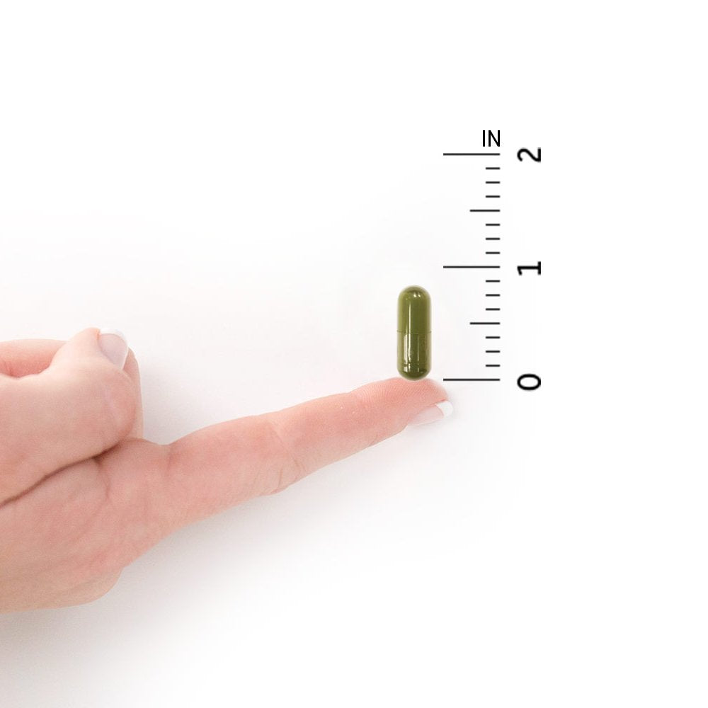 Garden of Life Vitamin D3 probiotic seal adds digestive-friendly benefits.