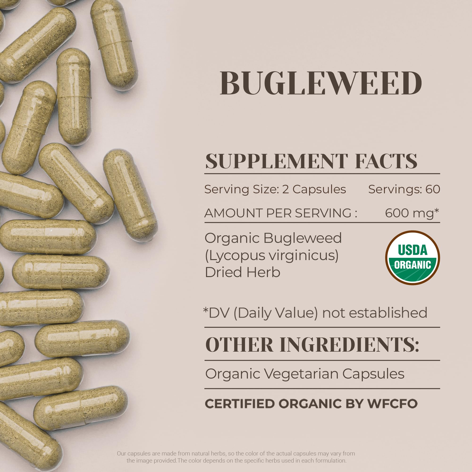 Dried Bugleweed herb from Garden Organics in a simple pack.