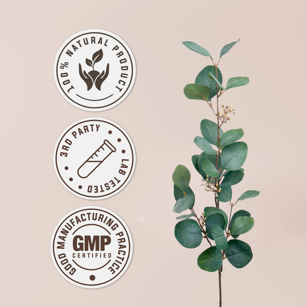 Garden Organics corn silk box packaging reveals certified organic, vegetarian capsules.