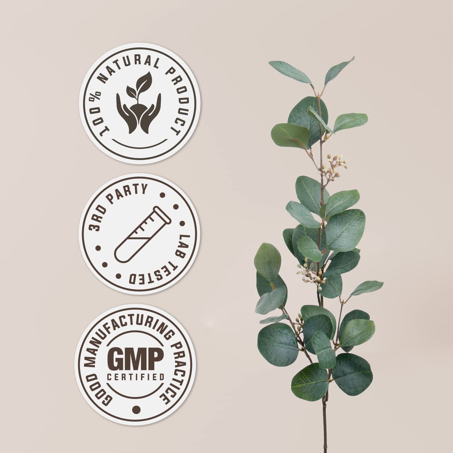 Garden Organics Guggul lab-tested seal for purity and safety