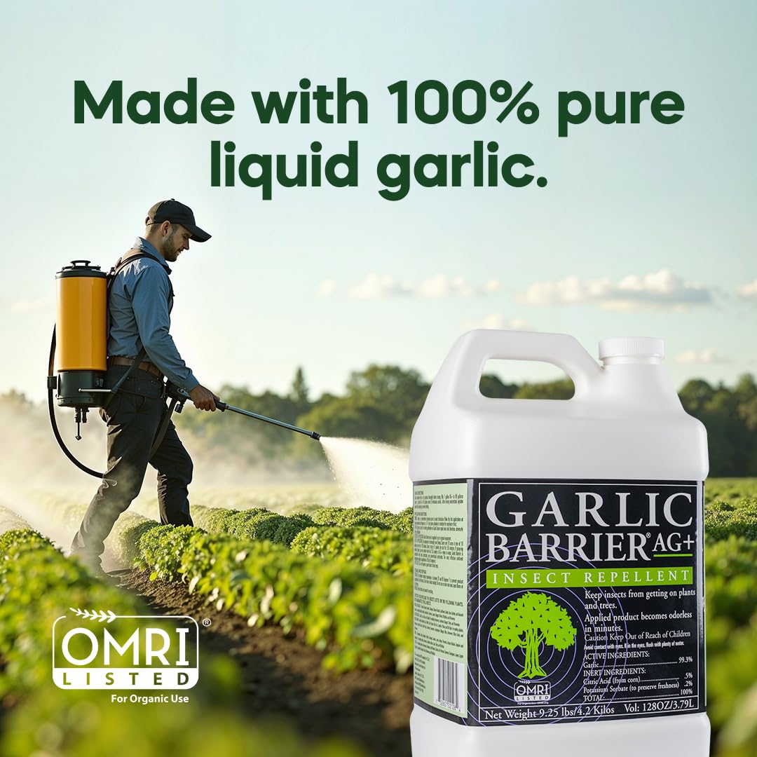 Garlic Barrier 2002 AG+ sprayed plants illustrate protective foliage treatment