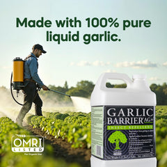 Garlic Barrier 2002 AG+ sprayed plants illustrate protective foliage treatment