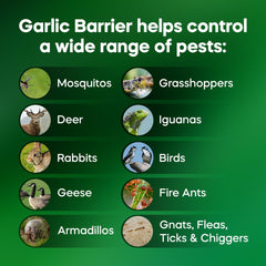 Garlic Barrier on row crops highlights broad insect protection in fields.