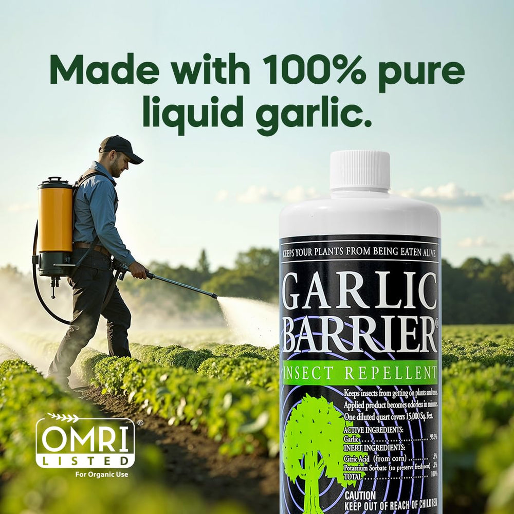Garlic Barrier spray on plants demonstrates foliar application for insect deterrence.