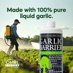 Garlic Barrier spray on plants demonstrates foliar application for insect deterrence.