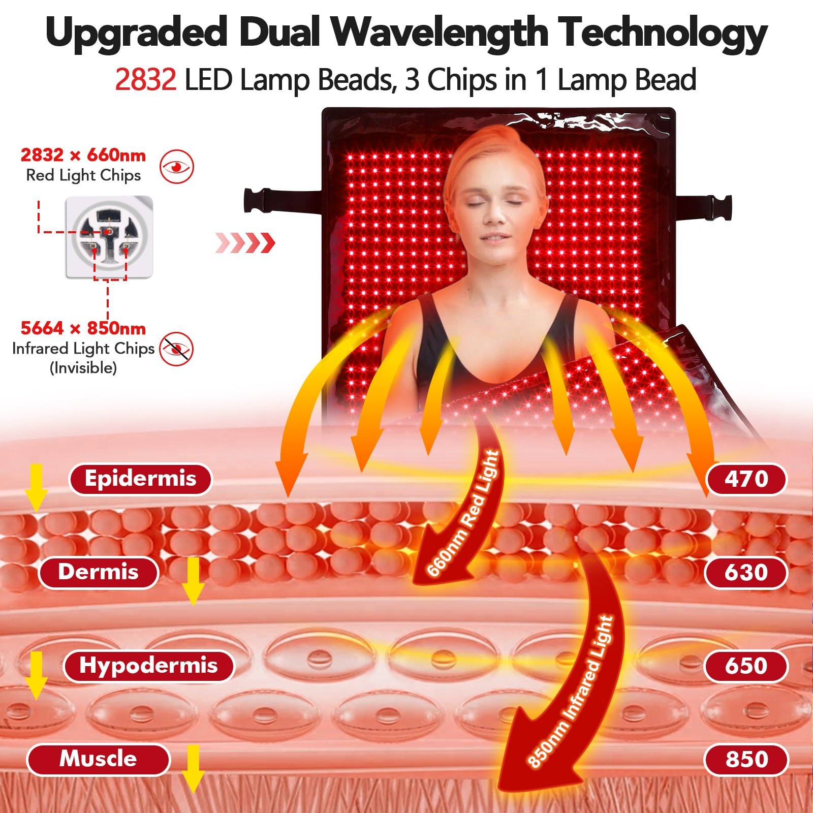 GarveeHome dual-wavelength LEDs with 660nm and 850nm reach broad tissue areas.