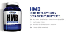 Gaspari Nutrition HMB scoop with powder ready for workouts