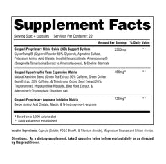 Gaspari Plasmajet bottle back view detailing ingredients and usage for workouts.