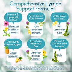 GAVYNETH Lymphatic Drainage ingredients graphic emphasizes dandelion, burdock, echinacea blend.