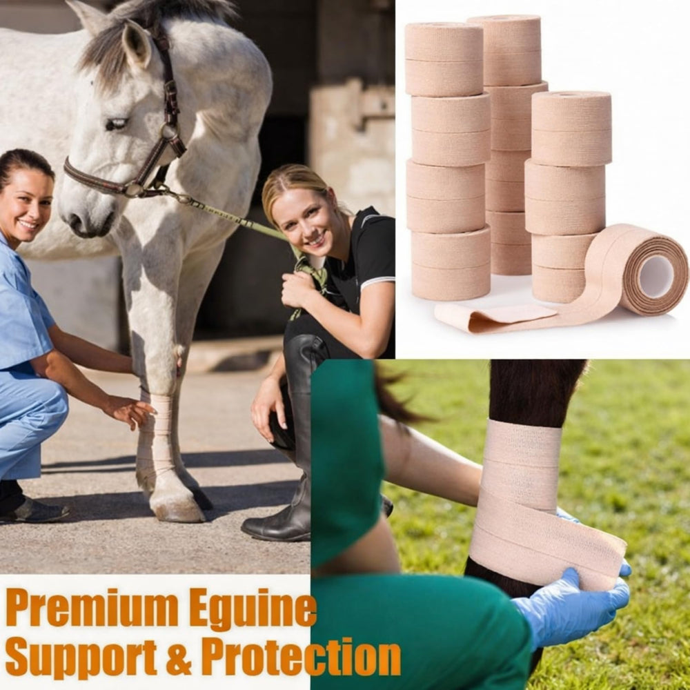 Geiserailie breathable elastic fabric keeps skin comfortable while worn.