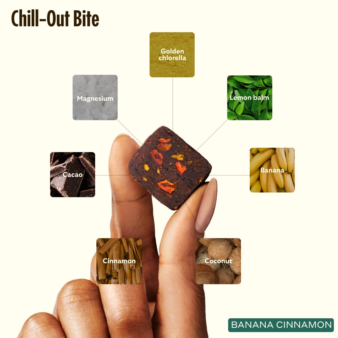 GEM Cognition Bundle ingredients photo highlights turmeric and lemon balm for natural balance.