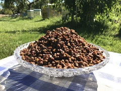 Generic Ambrosia bee bread sample on a clean surface for tasting