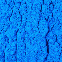 Generic blue spirulina powder scoop in jar for easy dosing.