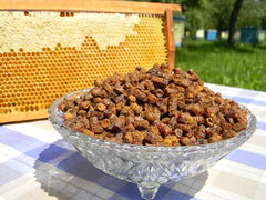 Generic Fresh Bee Bread packaging close-up showing vacuum-sealed freshness