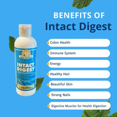 Generic Intact Digest ingredients panel close-up shows ionic minerals and mastic gum.