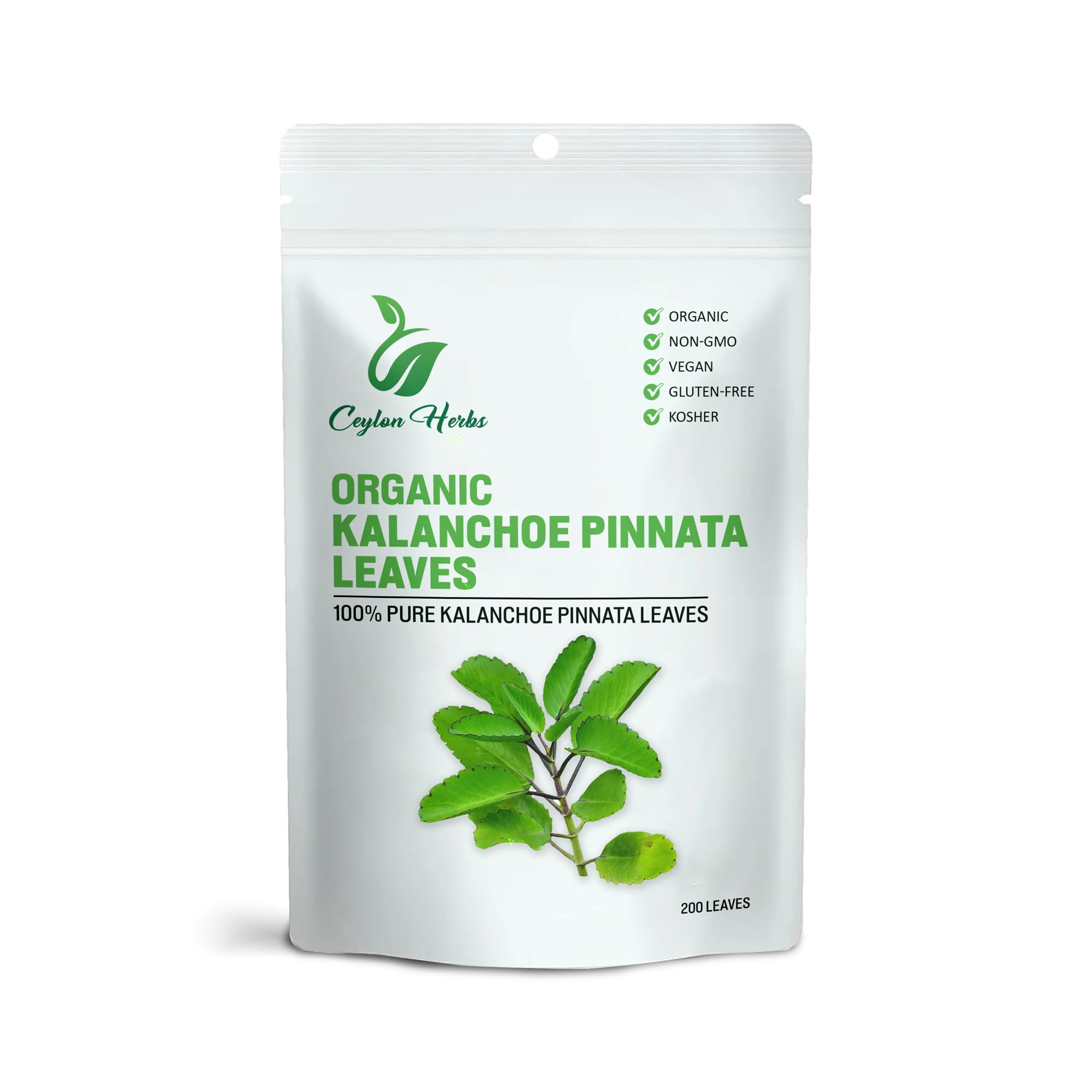 Generic Kalanchoe Pinnata leaves pack ready for herbal tea or infusion.