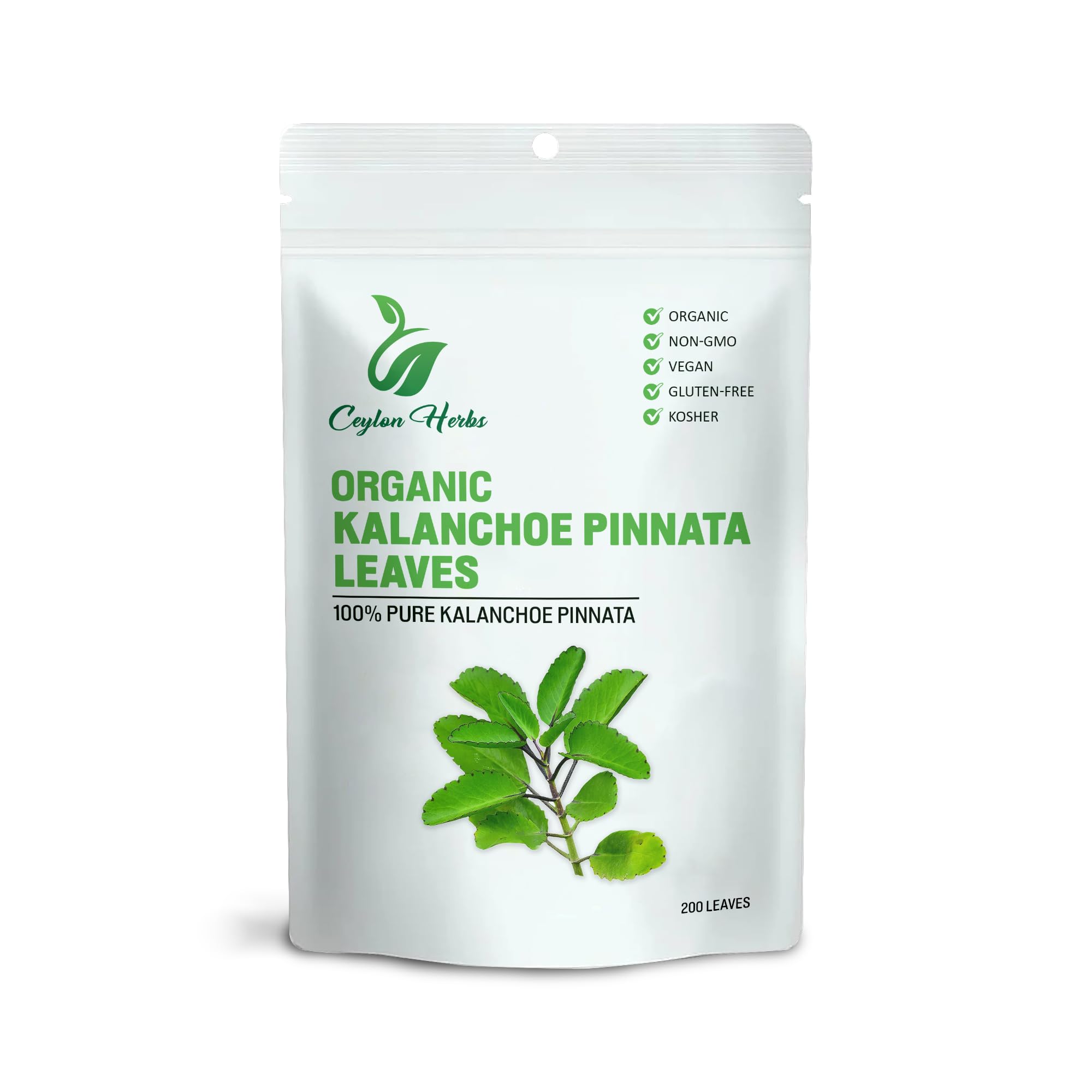 Generic Kalanchoe Pinnata leaves sustainably harvested on eco-friendly farms.