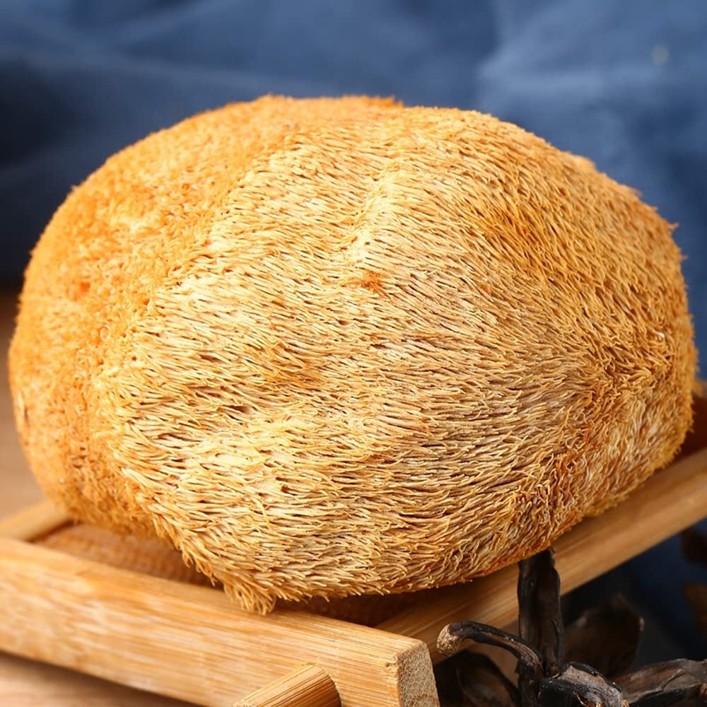 Generic Lions Mane mushroom soup ingredients, perfect for comforting bowls.