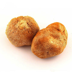Generic Lions Mane mushroom stir-fry dish, showcasing rich texture and aroma.