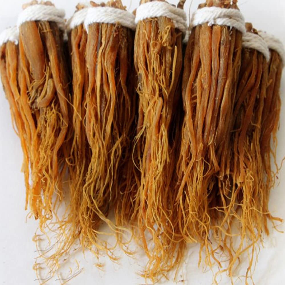 Generic Red Ginseng roots in jar ready for daily use.