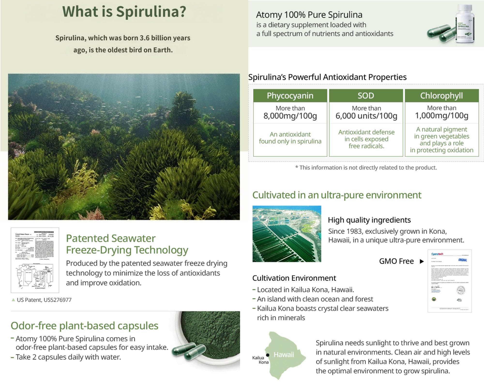 Odor-free spirulina capsules from Generic for easy daily use.