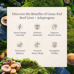 Genesis Nutrition Beef Liver adaptogens mushrooms capsules illustrate a balanced daily energy option.