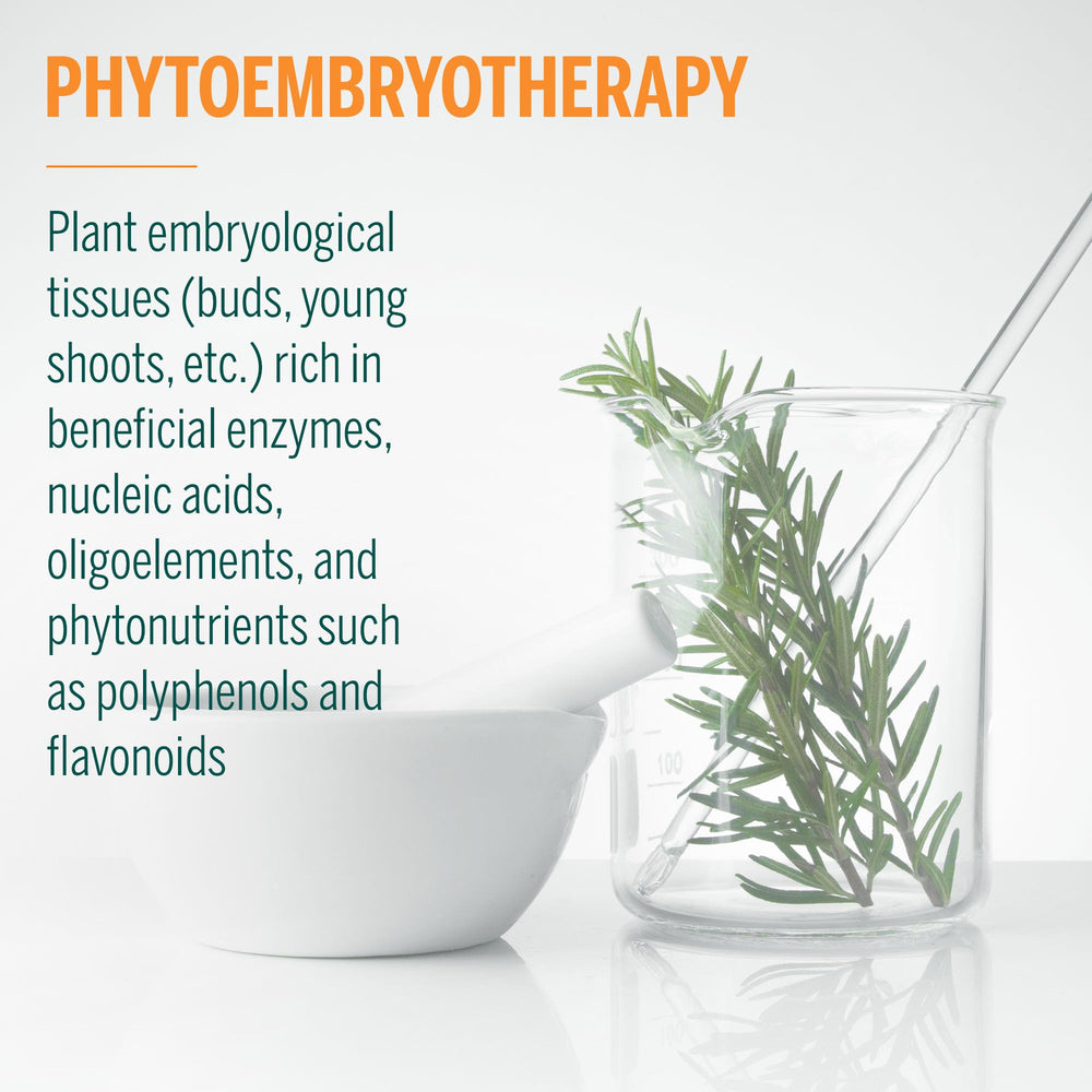 Acn-gen embryotherapy tissues illustration explains plant buds and meristem concepts.