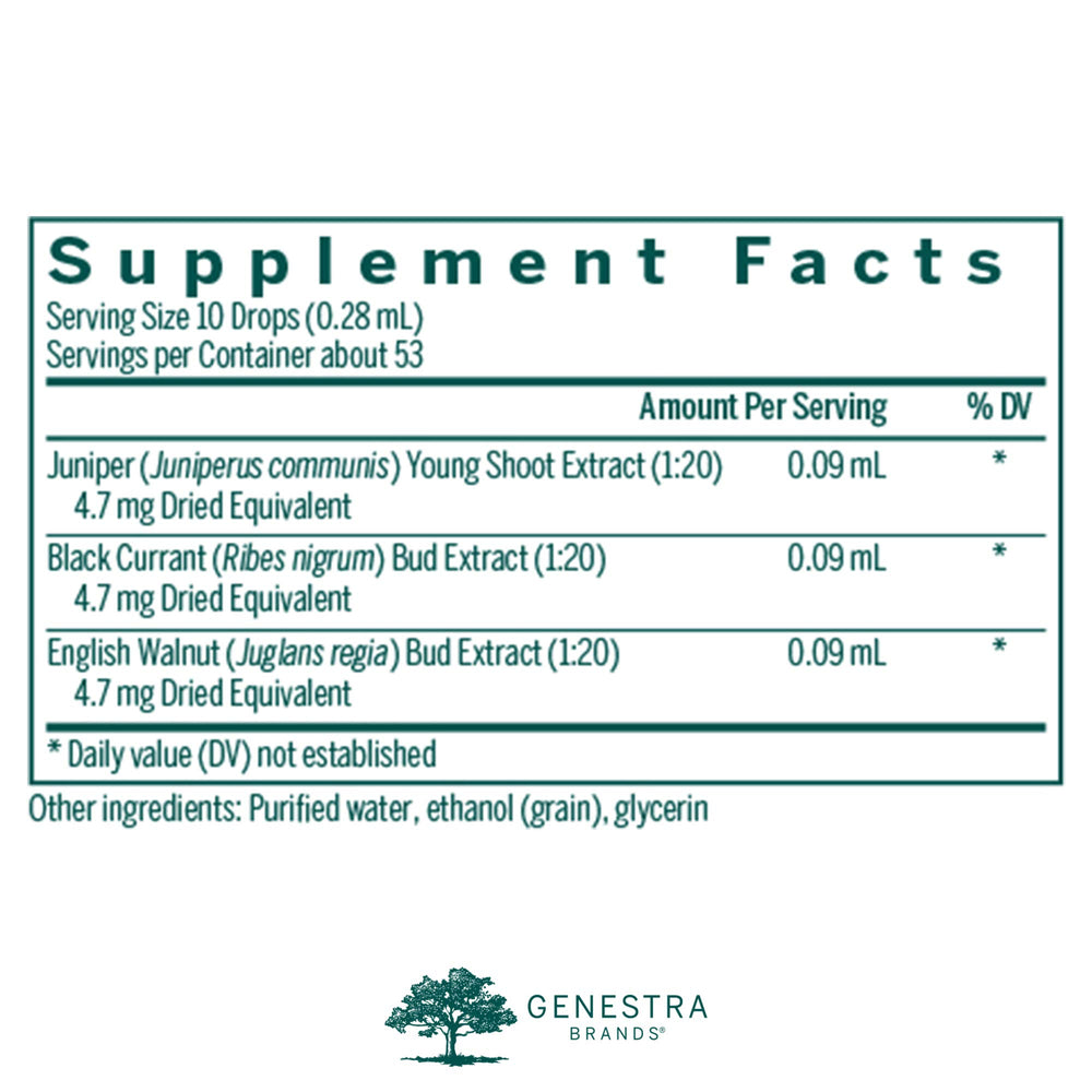 Genestra Brands Liv-gen black currant bottle: may support immune health and respiratory comfort.