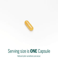 Genestra Brands Liver Support capsules viewed as an easy daily supplement.