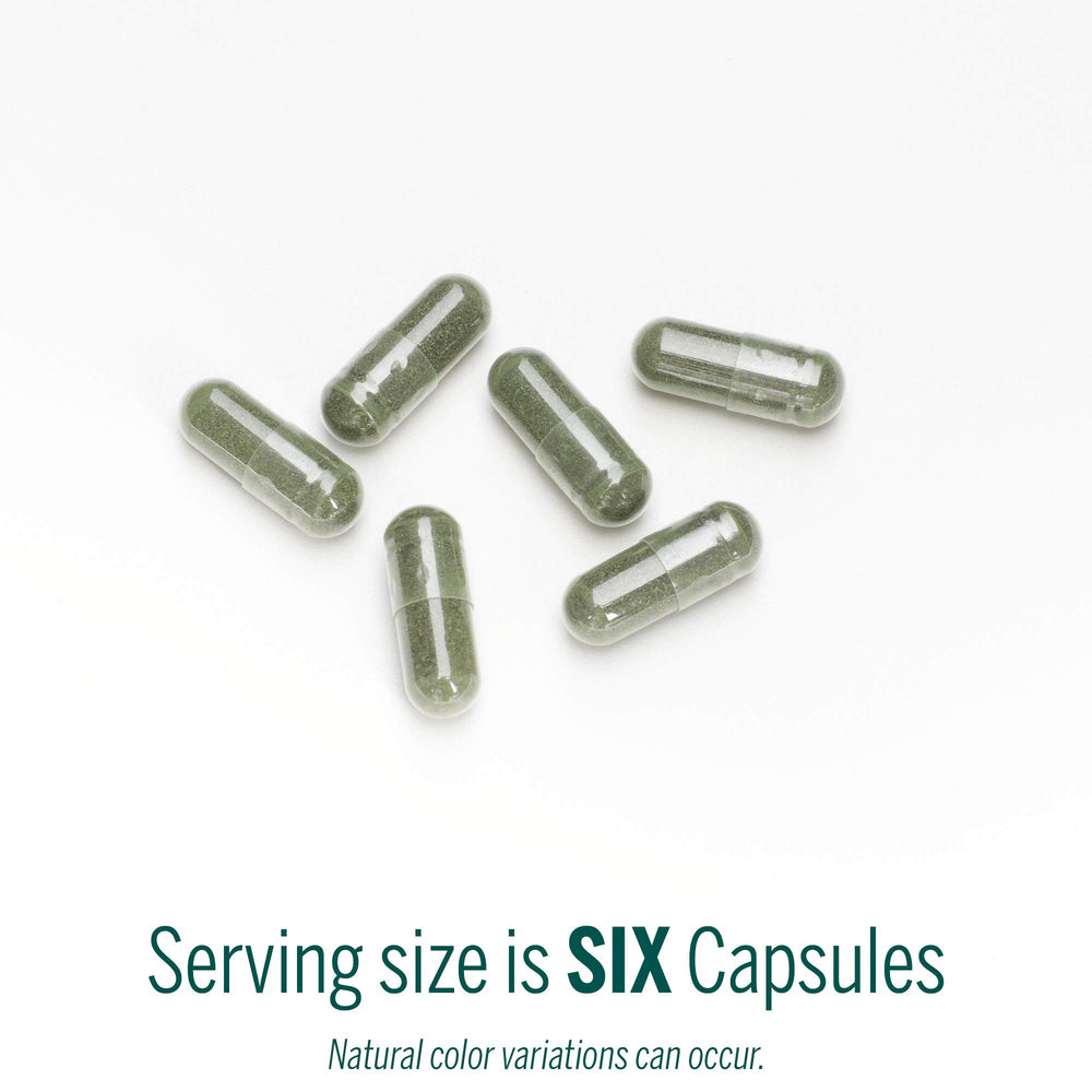 Genestra Phyto Greens with spirulina and chlorella showcased as a nutrient-rich superfood blend.