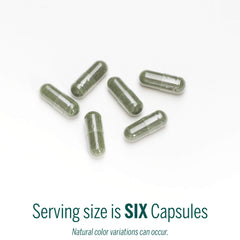 Genestra Phyto Greens with spirulina and chlorella showcased as a nutrient-rich superfood blend.