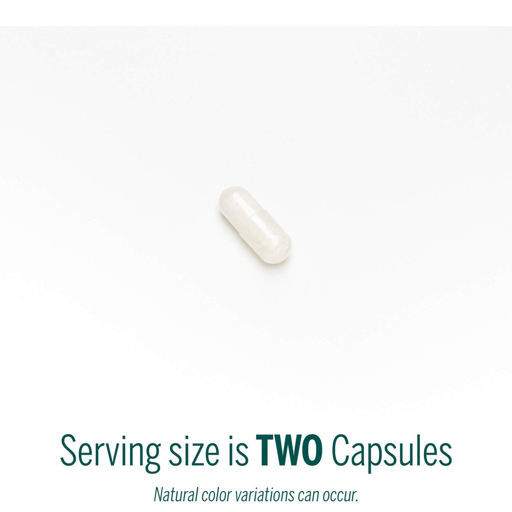 Genestra V-Enzymes capsules closeup of plant-based digestive capsules.