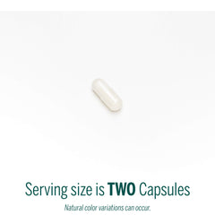 Genestra V-Enzymes capsules closeup of plant-based digestive capsules.