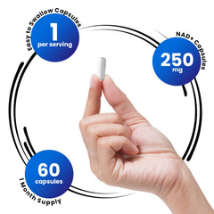 Genex Formulas NAD+ label view emphasizes GMP/NSF tested quality