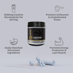 Muscular physique idea showing potential lean gains from creatine supplementation.