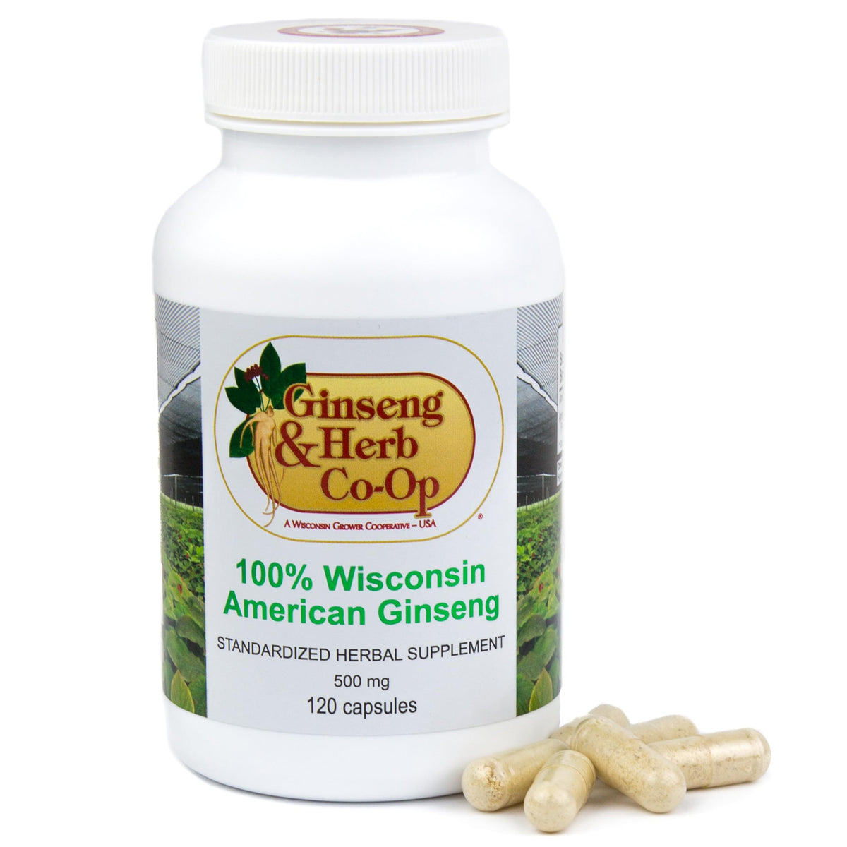 Ginseng & Herb Co-Op Wisconsin bottle with pour for daily energy support