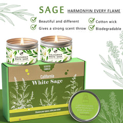 Gisly Sage Candle placed on desk in office for concentration.