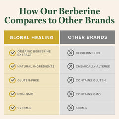 Global Healing Center berberine with cinnamon for metabolic support.