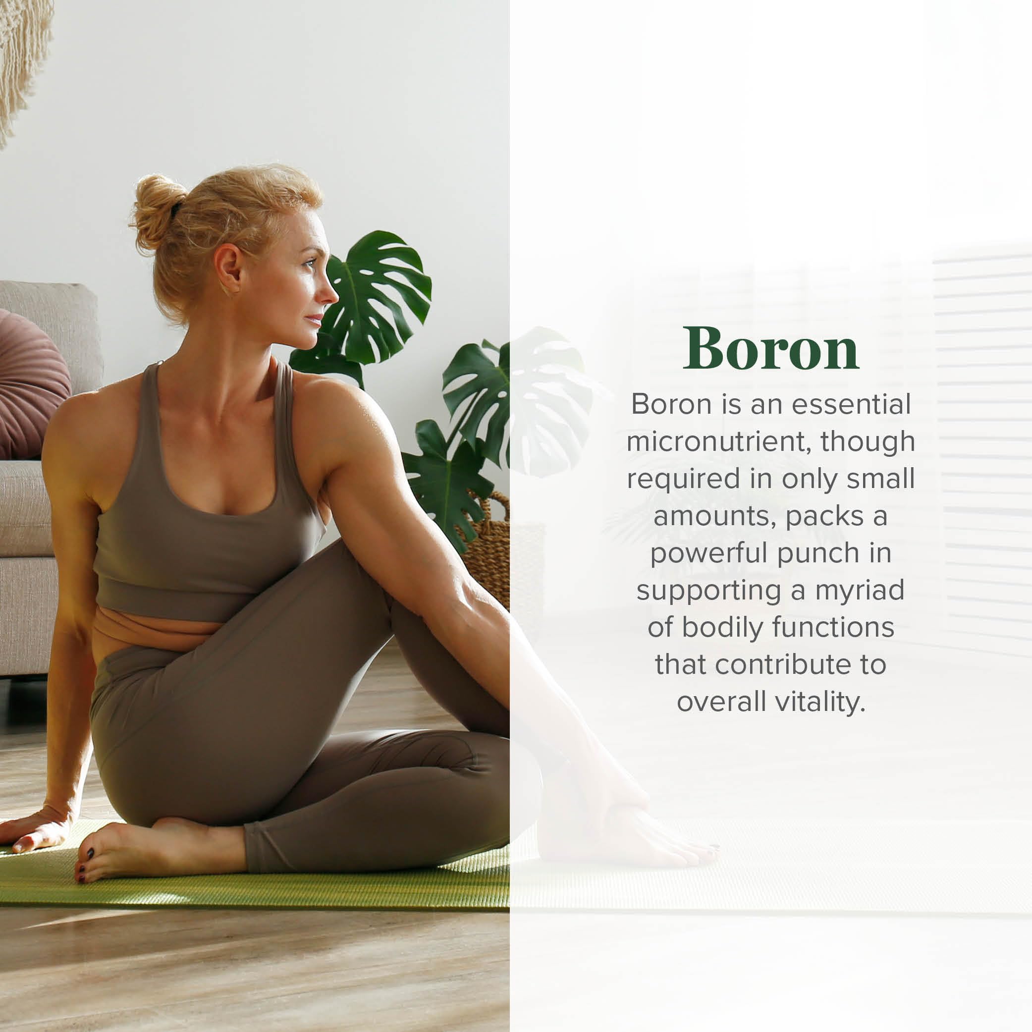 Global Healing Center boron supplement bottle back label with mineral metabolism notes