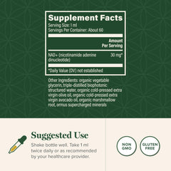 Global Healing liposomal NAD technology close-up emphasizes enhanced bioavailability and gentle taste.