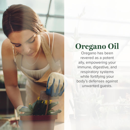 Global Healing Center oregano oil capsules bottle side view shows compact design