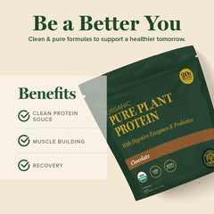 Global Healing Plant Protein powder close-up showing smooth blend