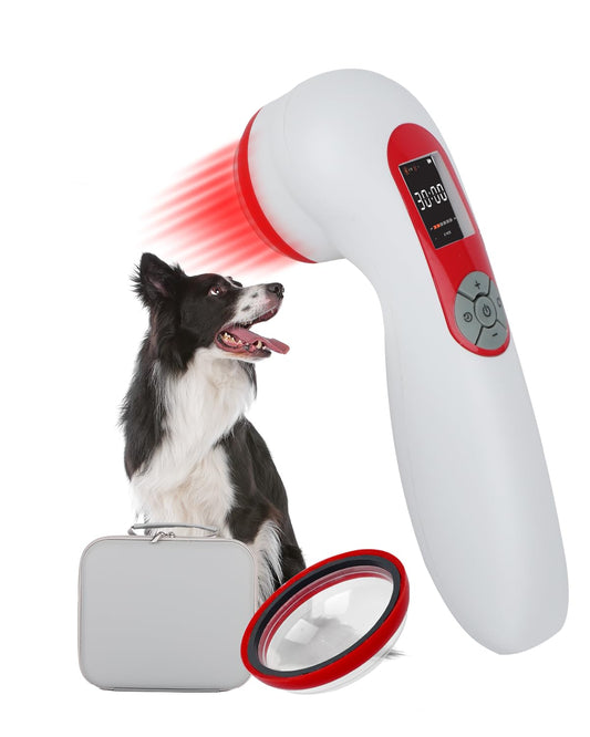 GLOHFAN handheld red light therapy device front view for targeted relief.