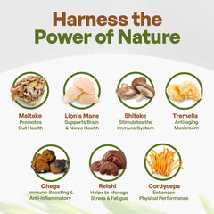 Go Nutra chaga mushroom cross-section emphasizes antioxidant-rich extract