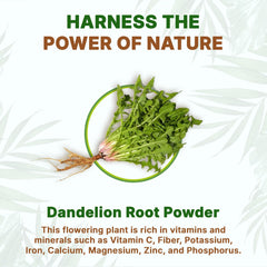 Go Nutra Dandelion Root Powder packaging emphasizing no additives