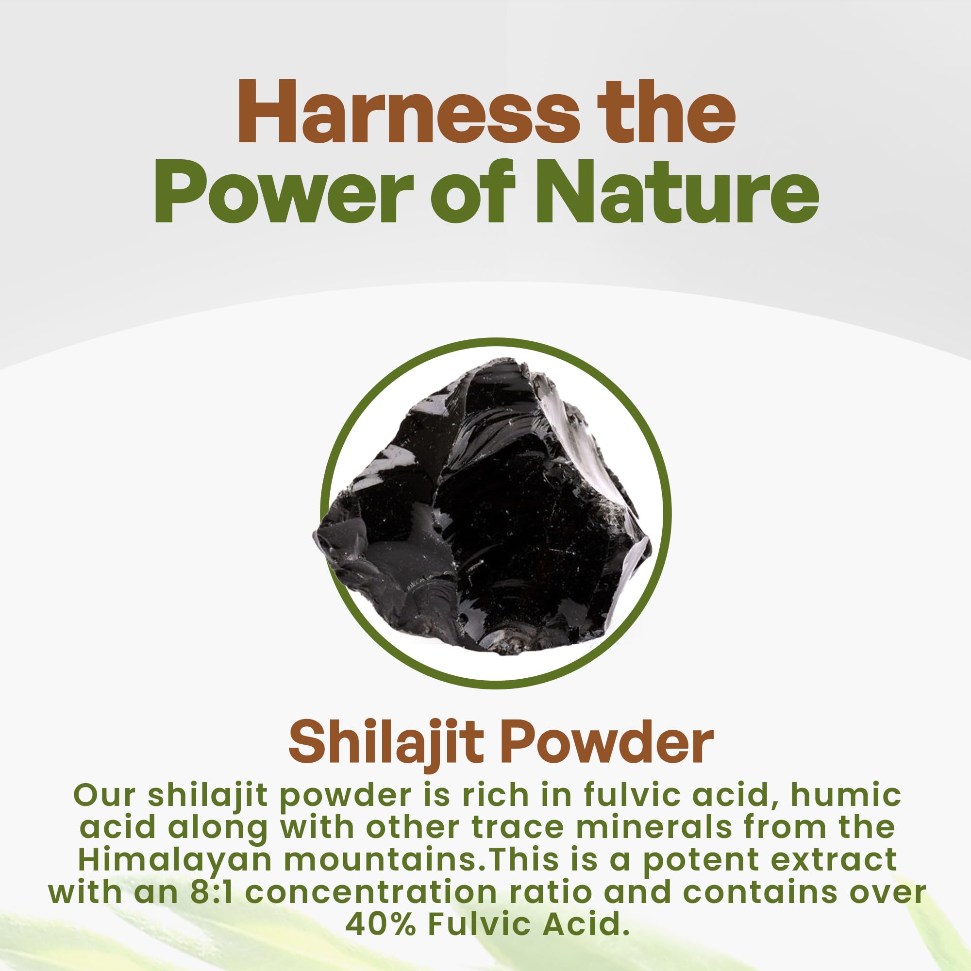 Go Nutra Shilajit Powder Himalayan minerals support daily energy and resilience.