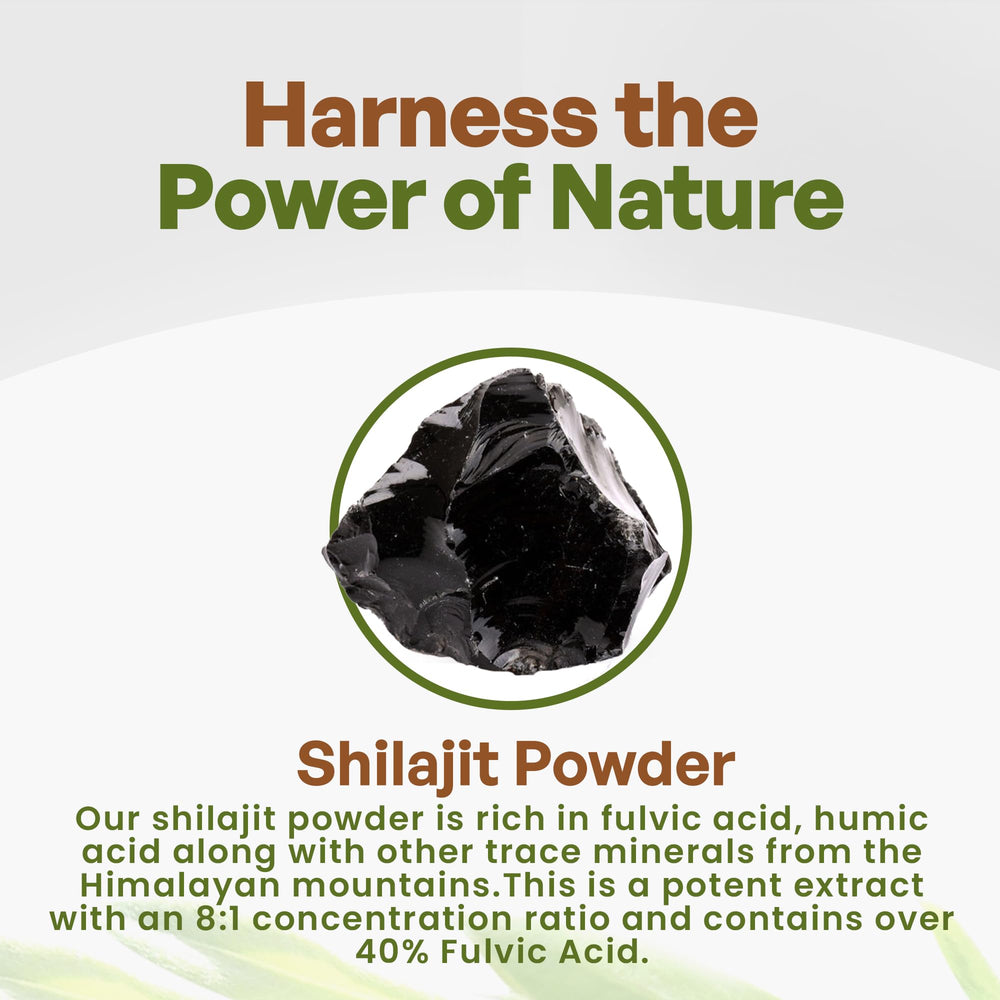 Go Nutra Shilajit Powder Himalayan minerals support daily energy and resilience.